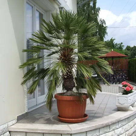 Jaeger 4* Vonyarcvashegy